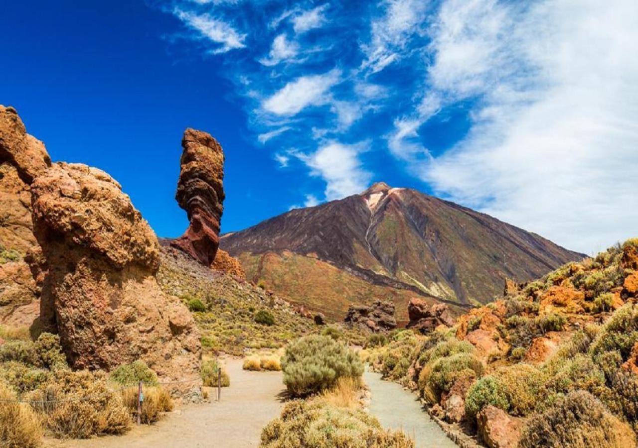 Buena Vibra Tenerife Sur 플라야데라스아메리카스 외부 사진